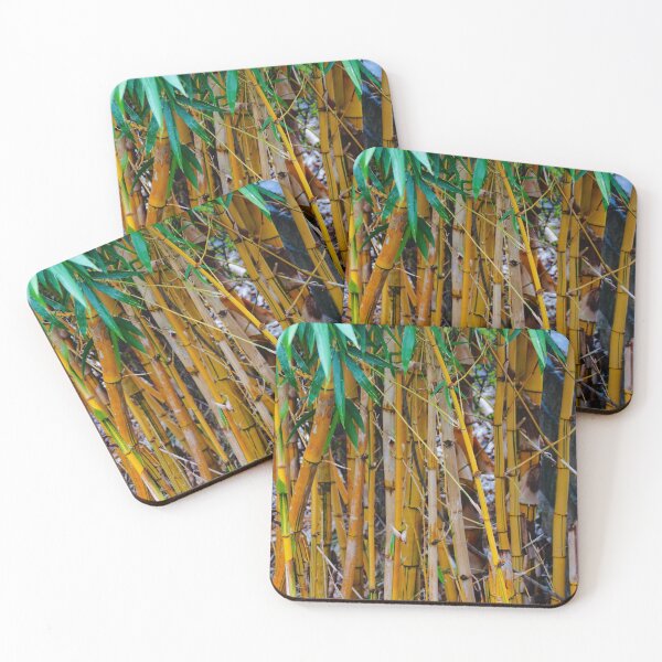 Item preview, Bamboo  designed and sold by D-GaP.