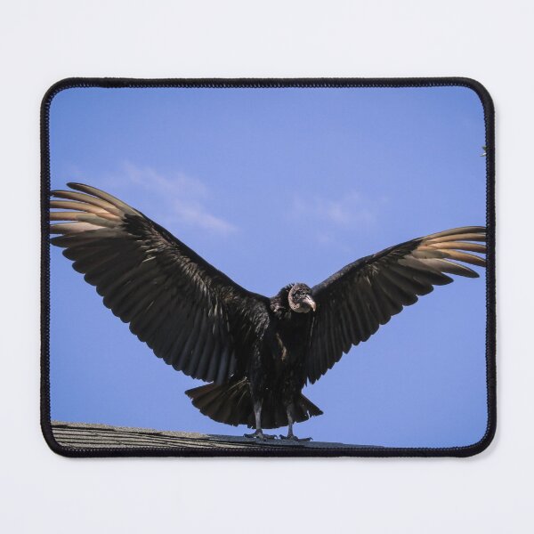 Item preview, American Black Vulture designed and sold by Zina Stromberg.