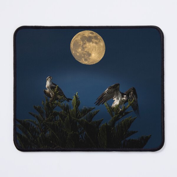 Item preview, Ospreys with the moon designed and sold by Zina Stromberg.