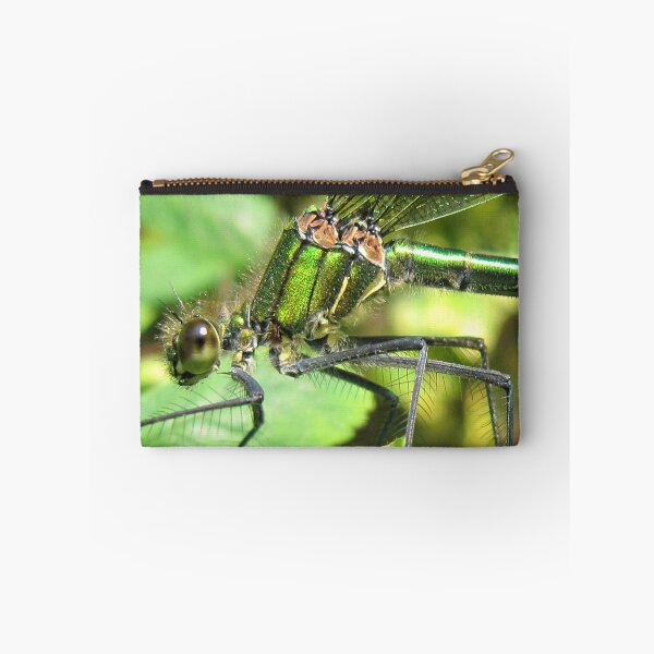 Item preview, Damselfly (Calopteryx splendens - Female Banded Demoiselle) designed and sold by Sally Green.