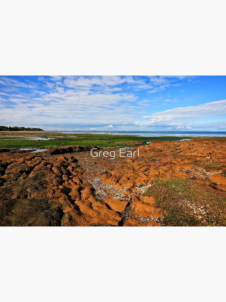 Low Tide Rickett's Point ll by GregEarl