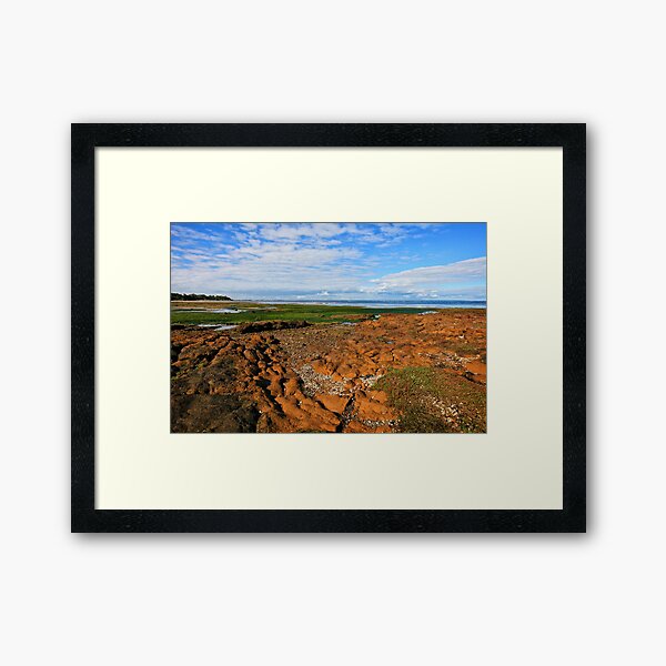 Low Tide Rickett's Point ll Framed Art Print
