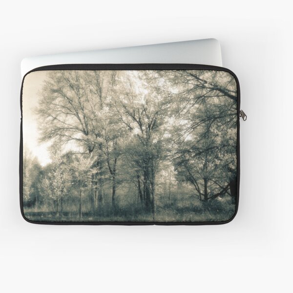 The Splendor Of A Spring Afternoon  Laptop Sleeve