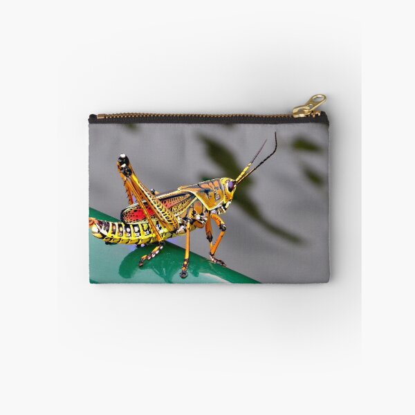 Item preview, Lubber Grasshopper designed and sold by Judy Wanamaker.