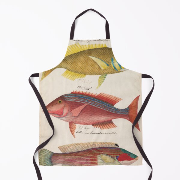 Item preview, Sketches of Australian fishes, circa 1840 designed and sold by State Library of South Australia.