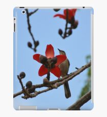 Mockingbird on a cotton tree 2 iPad Case/Skin