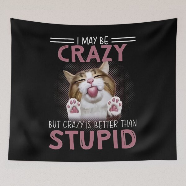 Item preview, I may be crazy but crazy is better than stupid designed and sold by RudyHernandez.