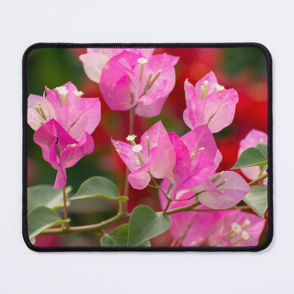 Item preview, Bougainvillea designed and sold by Zina Stromberg.