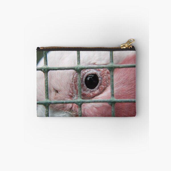 Item preview, captive designed and sold by paul erwin.