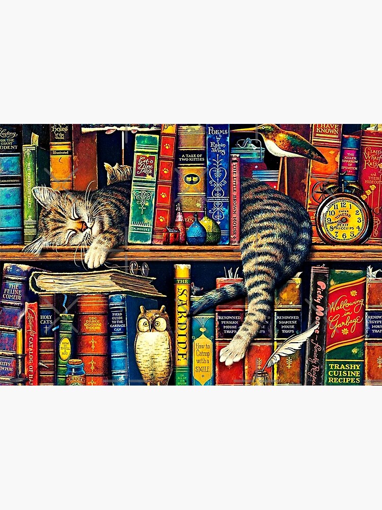 Puzzle Cat Bookshelf