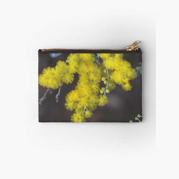 Item preview, Acacia podalyriifolia designed and sold by andrachne.