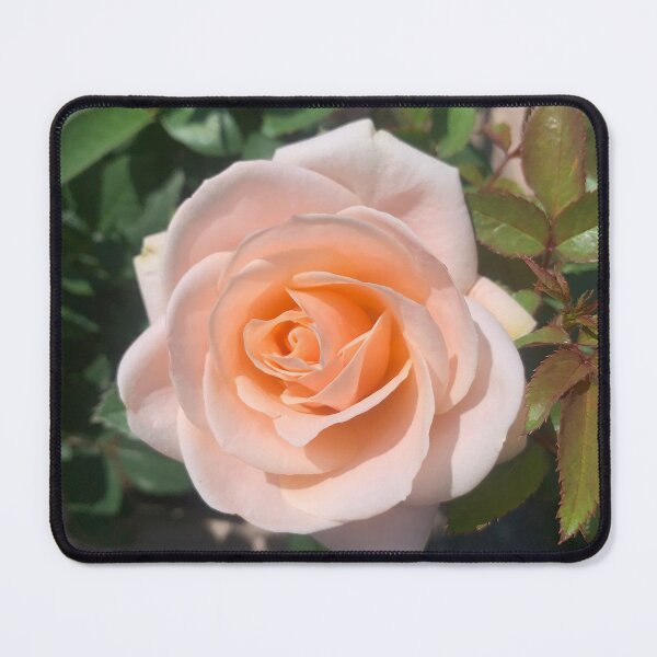 Item preview, Rose designed and sold by JaksShop.