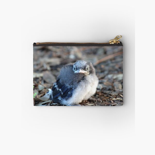 Artikelvorschau, Baby Blue Jay entworfen und verkauft von RebeccaBlackman.