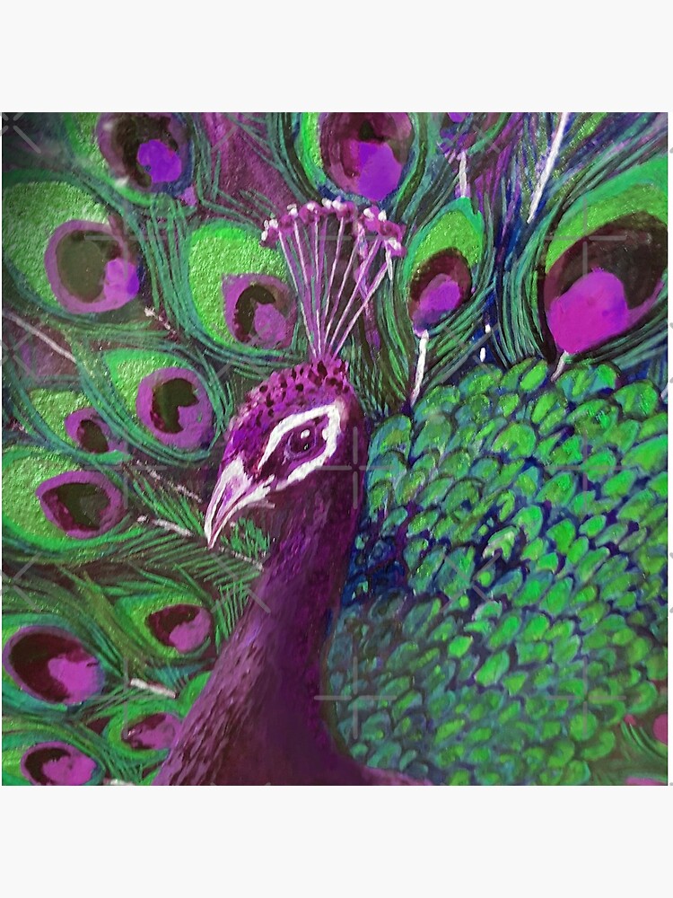 Purple & Green Peacock Love by nicolamorgan