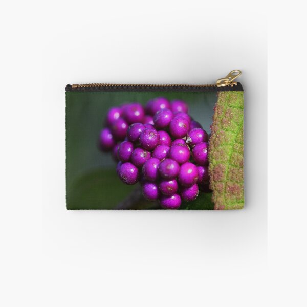 Item preview, Callicarpa pedunculata  designed and sold by andrachne.