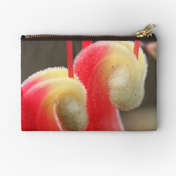 Grevillea tripartita subsp. macrostylis Zipper Pouch