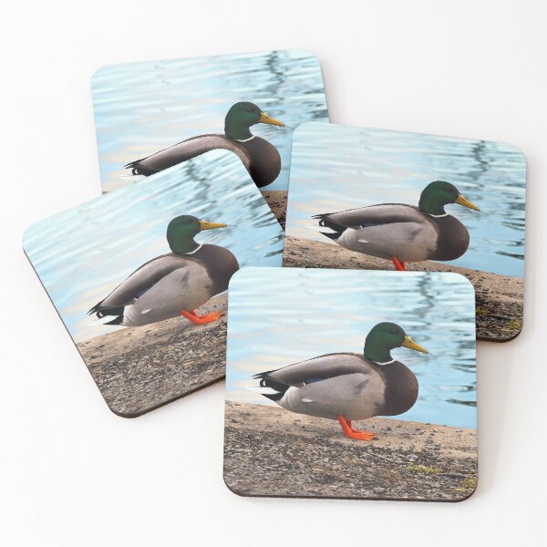 Item preview, Male Mallard Duck Standing By The Pond designed and sold by BackyardBirder.