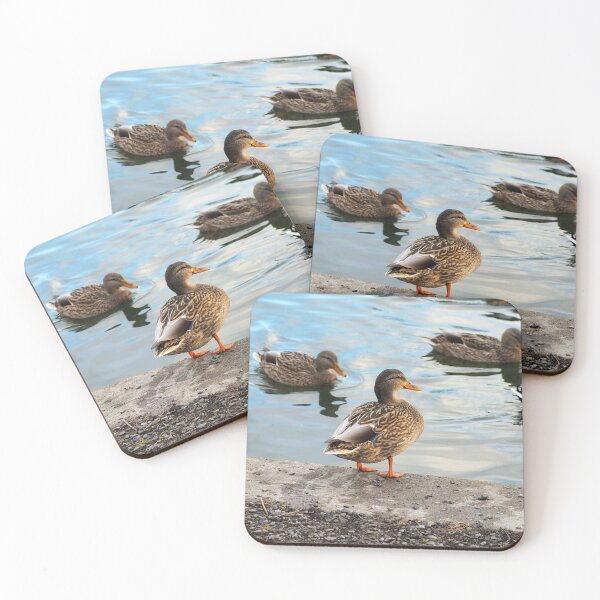 Item preview, Female Mallard Duck Standing By The Pond designed and sold by BackyardBirder.