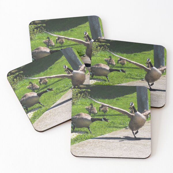 Item preview, Canada Goose Honking At Other Goose, Wings Spread - Wild Canada Goose Bird designed and sold by BackyardBirder.
