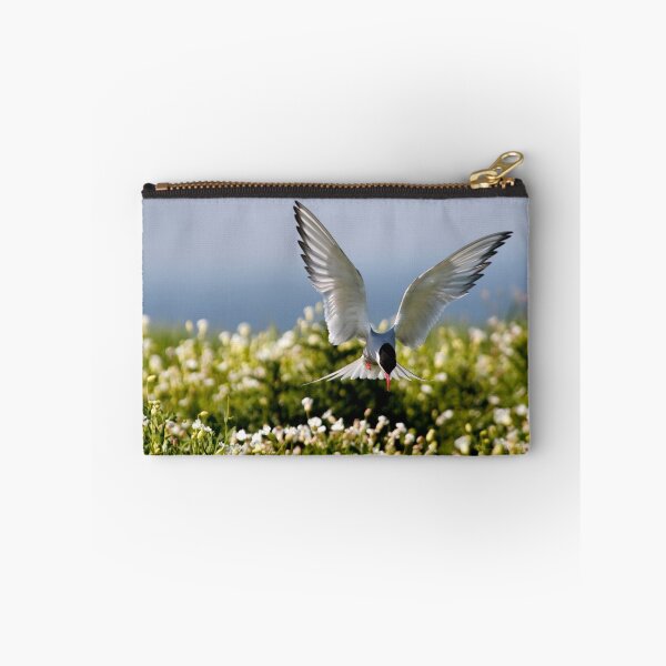 Item preview, Arctic Tern Hovering designed and sold by Chris McIlreavy.