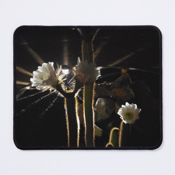 Item preview, Cactus flower night bloom designed and sold by Glamis121874.