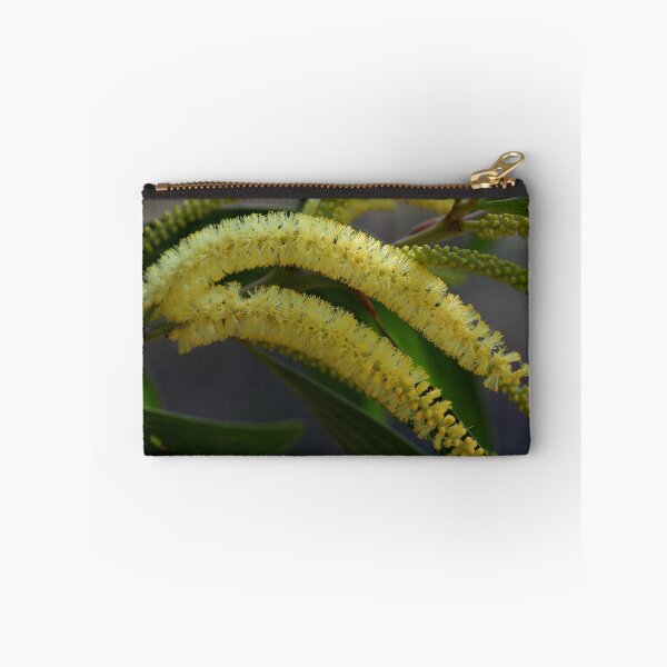 Item preview, Acacia grandifolia designed and sold by andrachne.