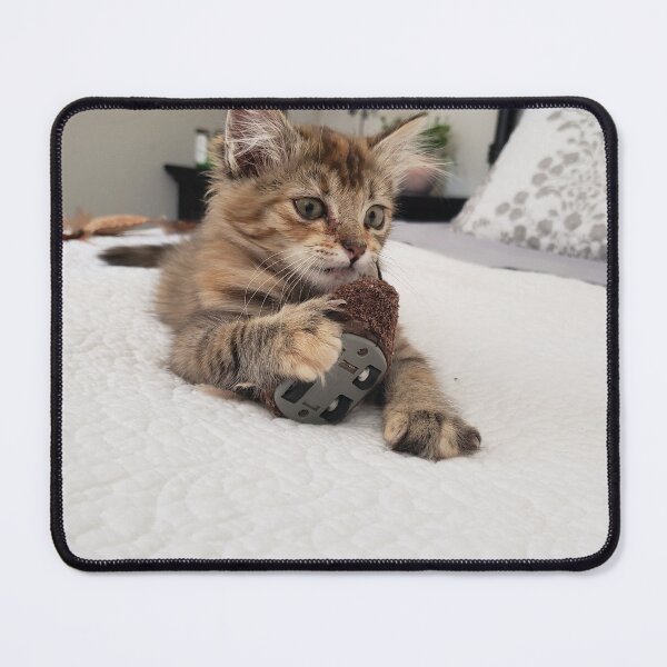 Item preview, Kitten, Cat designed and sold by Glamis121874.