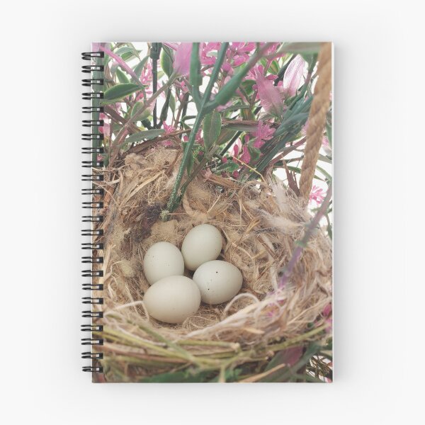Item preview, Bird Eggs designed and sold by Glamis121874.