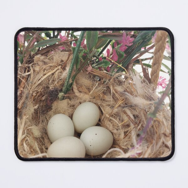 Item preview, Bird Eggs designed and sold by Glamis121874.