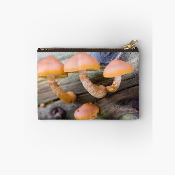 Item preview, Forest growth...! designed and sold by Steve Chapple.