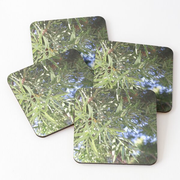 Item preview, Pine Needles  designed and sold by sweetcheeksdraw.