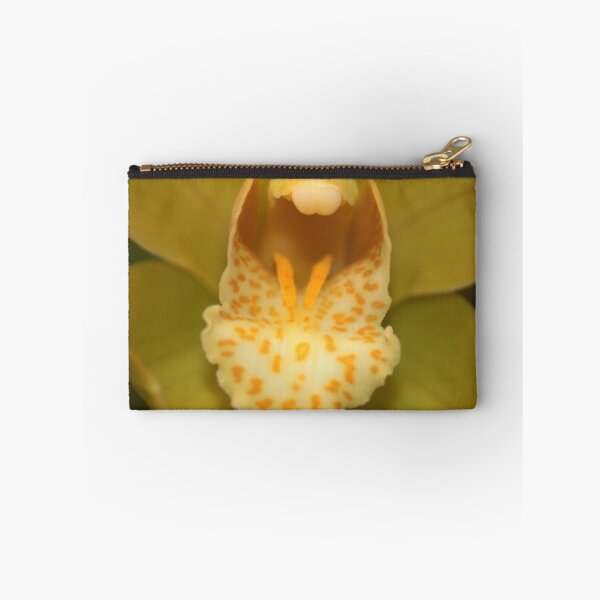 Item preview, Cymbidium hybrid designed and sold by andrachne.