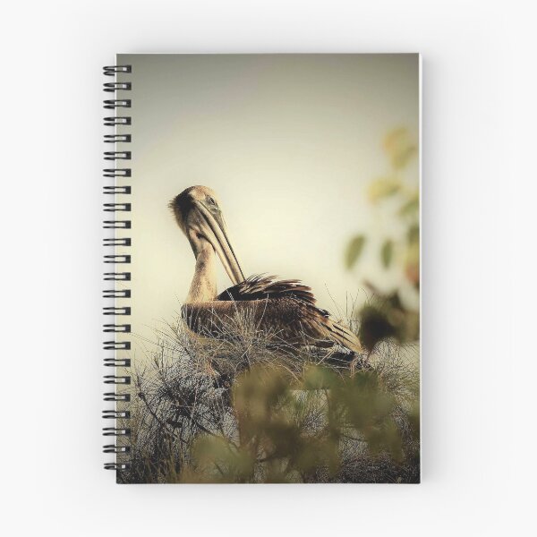 Item preview, Pelican napping in a tree designed and sold by Jennifer Phipps.