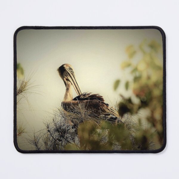 Item preview, Pelican napping in a tree designed and sold by Jennifer Phipps.