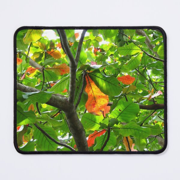 Item preview, Leaves designed and sold by Wolf's Art.