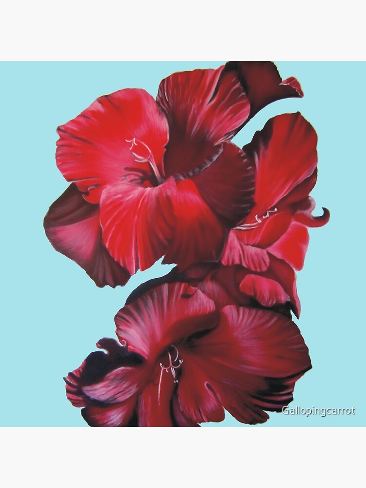 Gladioli by Gallopingcarrot