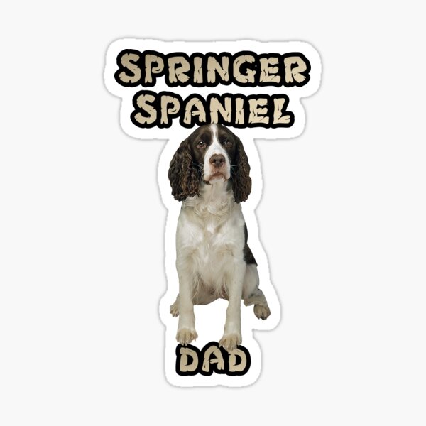 springer spaniel accessories