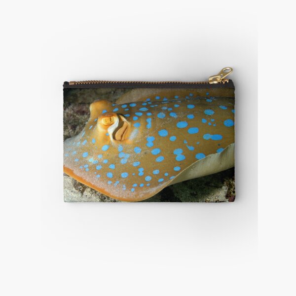 Item preview, Blue Spotted Lagoon Ray designed and sold by John Marriott.