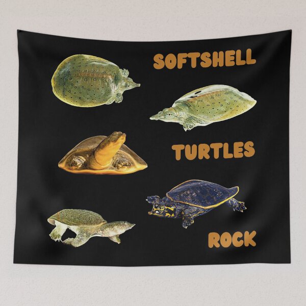 Item preview, Softshell Soft Shell Turtles Rule Pet Reptile Exotic Water Turtle Cute Funny  designed and sold by CBCreations73.