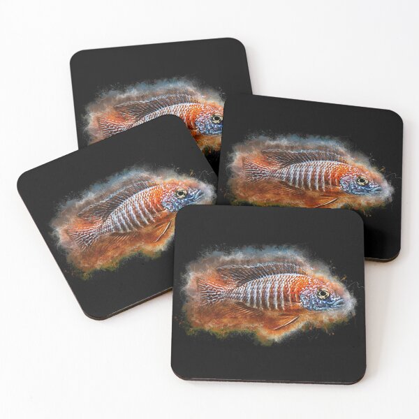 Item preview, Red Rubin Emperor Cichlid - Aulonocara red rubin designed and sold by AquariumLutter.