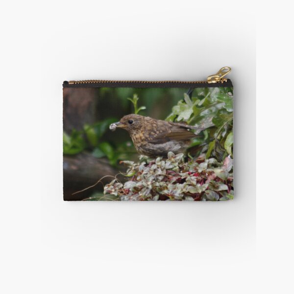 Item preview, Baby Robin  designed and sold by AnnDixon.