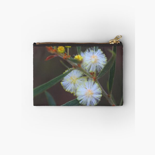 Item preview, Acacia baeuerlenii  designed and sold by andrachne.