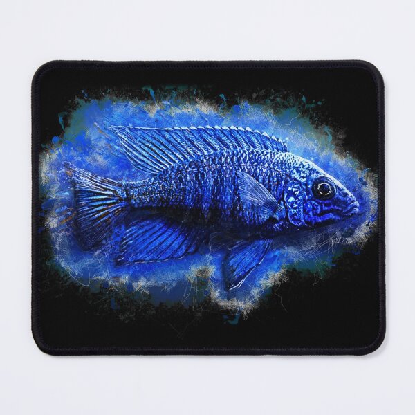 Item preview, Blue Neon Emperor Cichlid - Aulonocara sp. blue neon designed and sold by AquariumLutter.