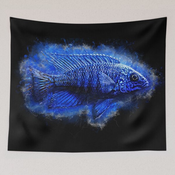 Item preview, Blue Neon Emperor Cichlid - Aulonocara sp. blue neon designed and sold by AquariumLutter.