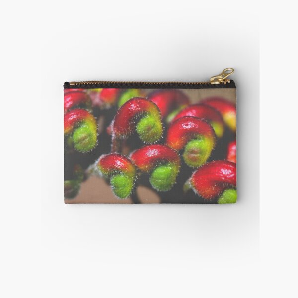 Item preview, Grevillea fireworks designed and sold by andrachne.
