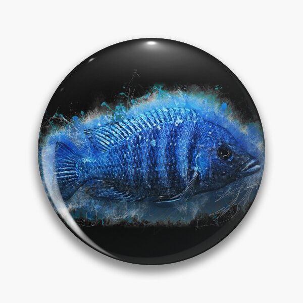 Item preview, Lupingu cichlid -Placidochromis phenochilus lupingu designed and sold by AquariumLutter.