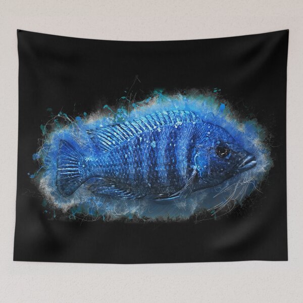 Aperçu de l'œuvre Cichlidé Lupingu - Placidochromis phénochilus lupingu créée et vendue par AquariumLutter.