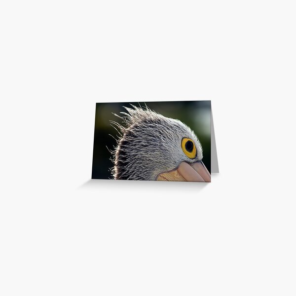 Blowin' in the Wind Greeting Card