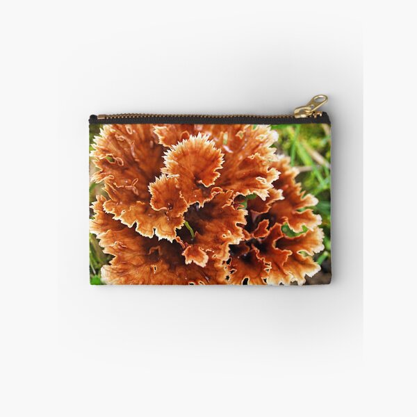 Item preview, Splash of Orange - (Podoscypha petalodes) designed and sold by Bev Pascoe.