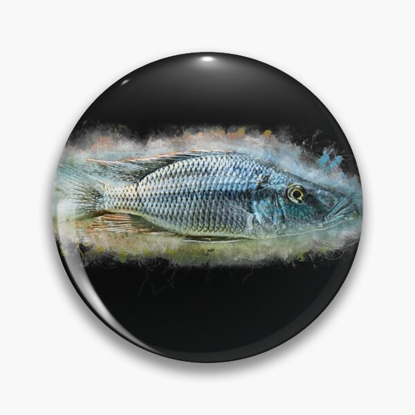 Item preview, Knife cichlid - Dimidiochromis compressiceps designed and sold by AquariumLutter.
